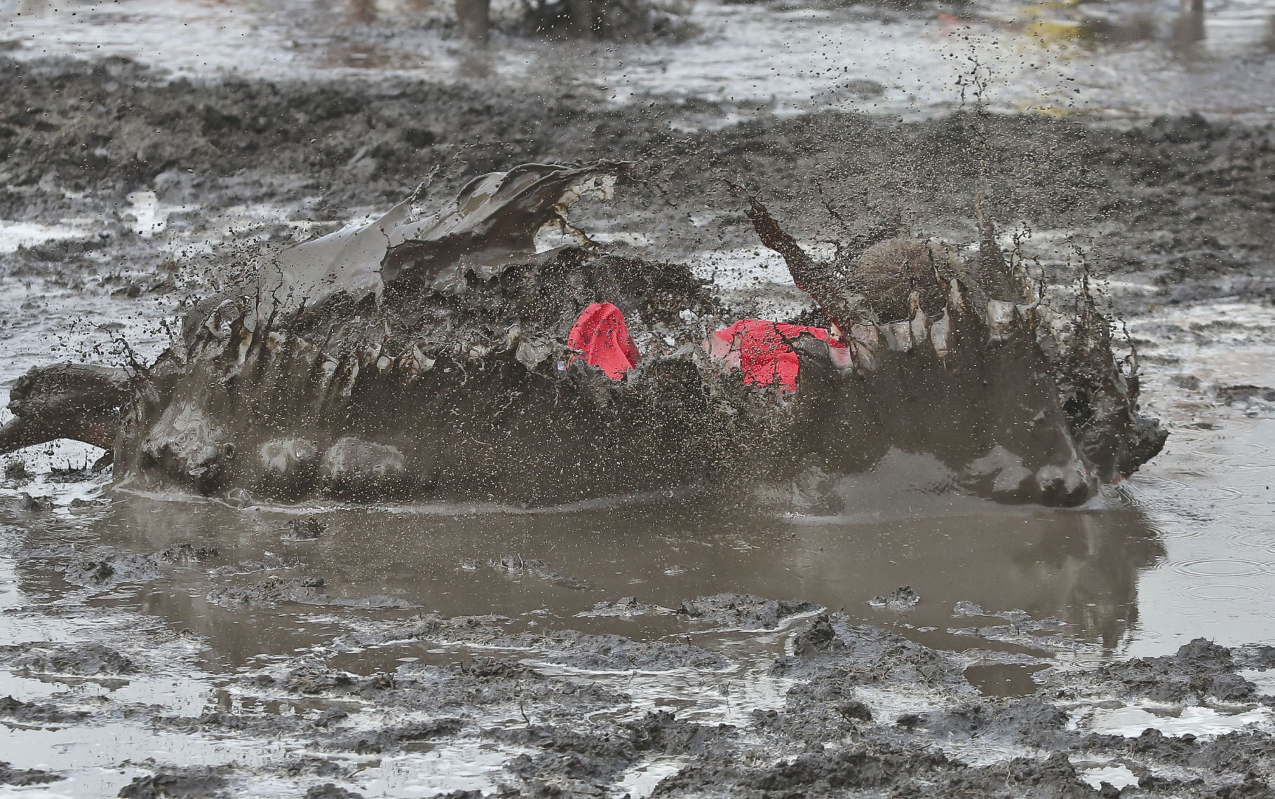 Mud Volleyball 23 08.18.18.JPG